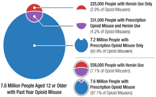 Opioid Misuse Statistics Infographic Infographic showing opioid misuse statistics.
